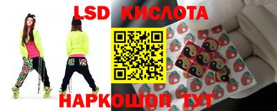 крисы Апшеронск