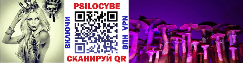 Псилоцибиновые грибы GOLDEN TEACHER  Белгород 